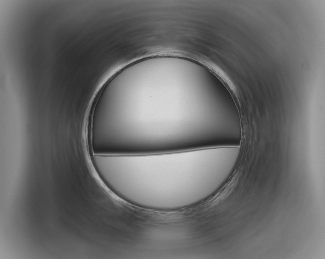 X0000116831007200912181050