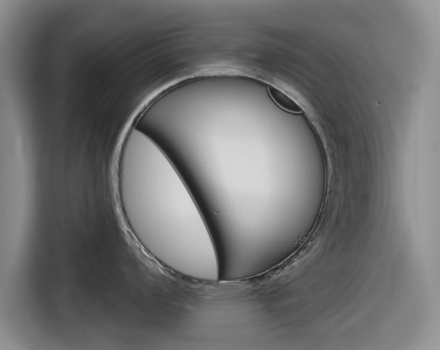 X0000116831008200912181050