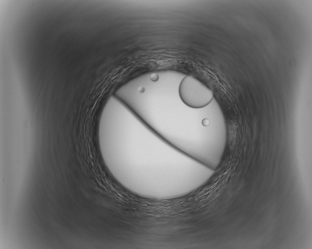 X0000116831009200912181050