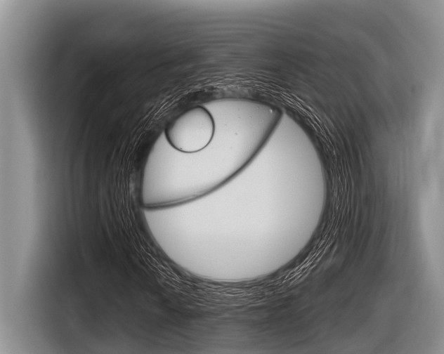 X0000116831010200912181050