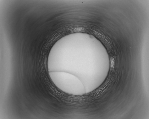 X0000116831011200912181050