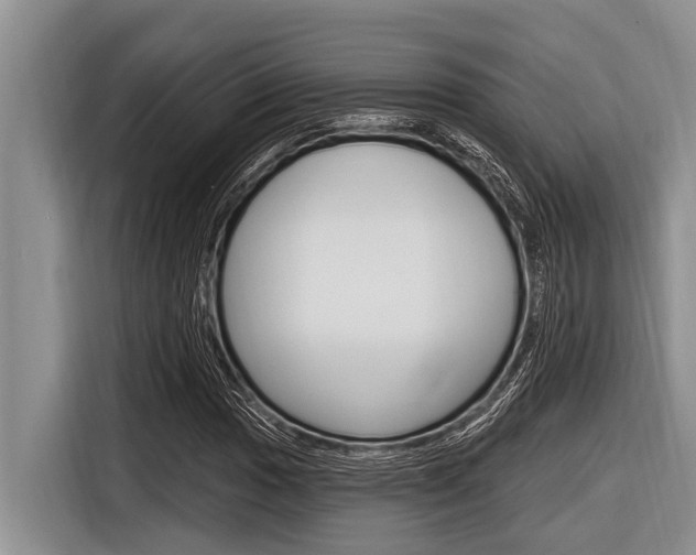 X0000116831017200912181050
