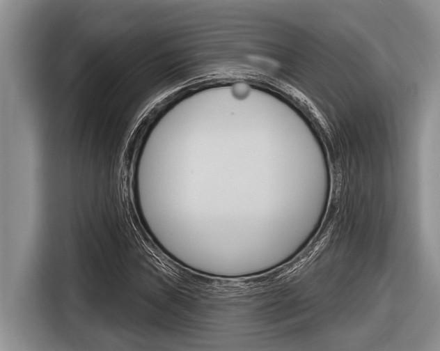 X0000116831019200912181050