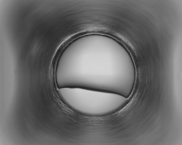 X0000116831021200912181050