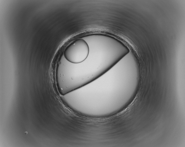 X0000116831022200912181050