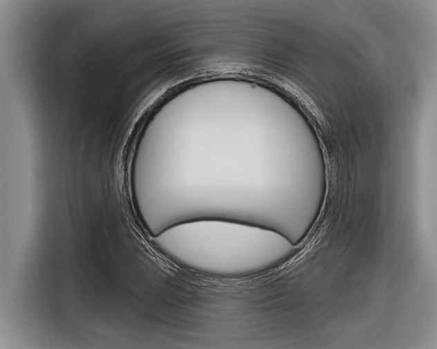 X0000116831023200912181050