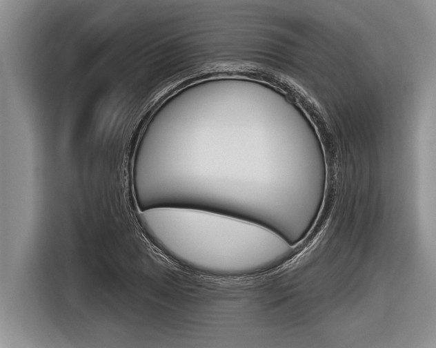 X0000116831025200912181050