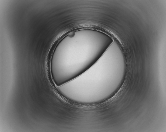 X0000116831026200912181050