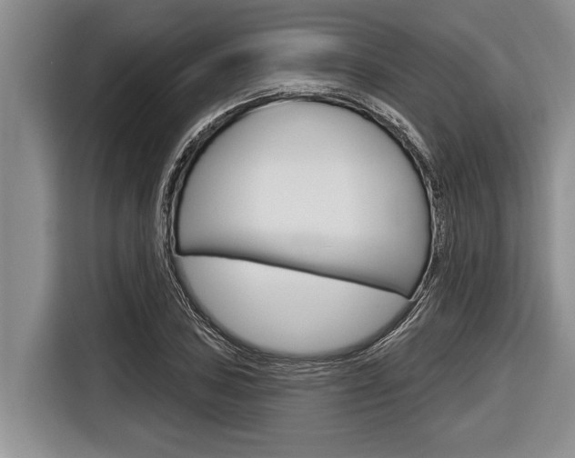 X0000116831027200912181050