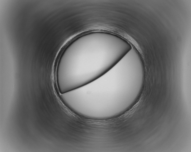 X0000116831028200912181050