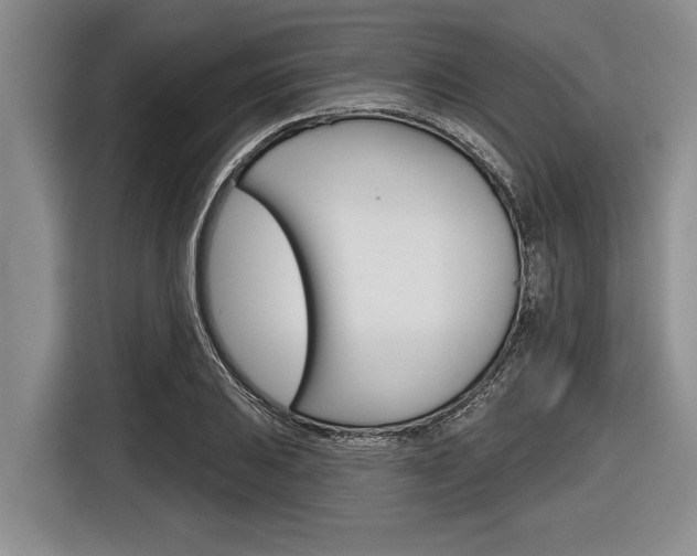 X0000116831031200912181050