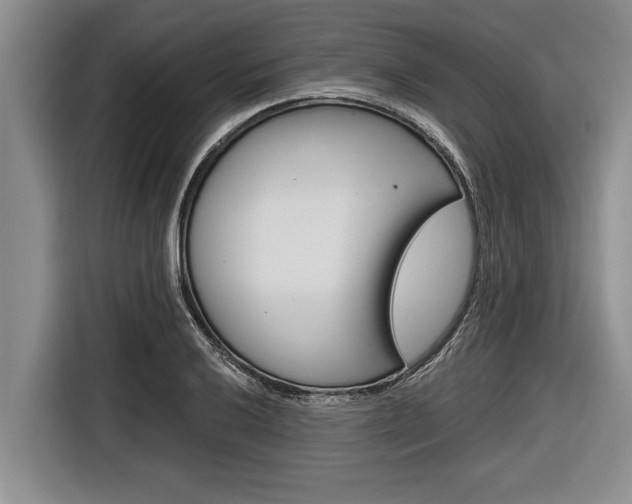 X0000116831032200912181050