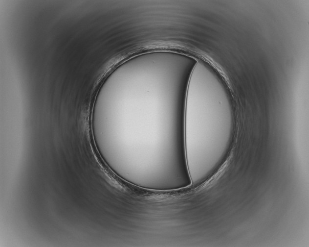 X0000116831033200912181050