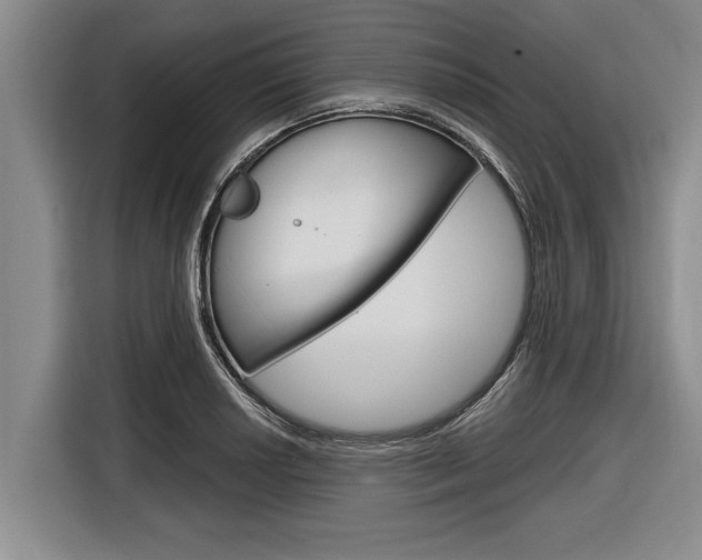 X0000116831034200912181050