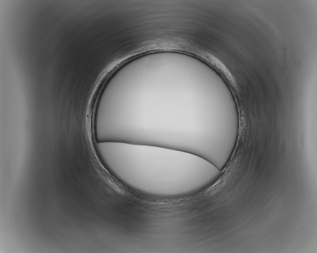 X0000116831035200912181050