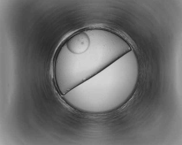 X0000116831036200912181050
