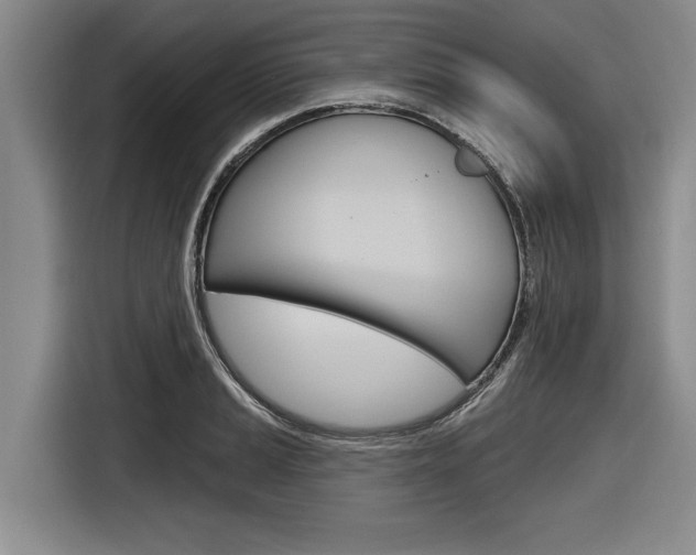 X0000116831037200912181050