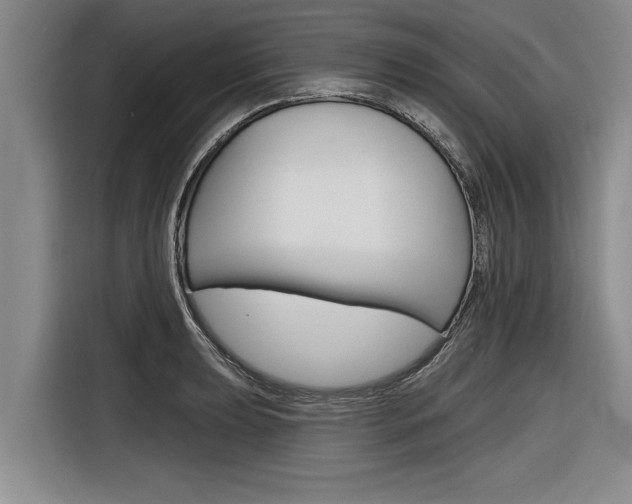 X0000116831039200912181050