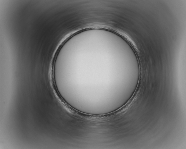 X0000116831040200912181050