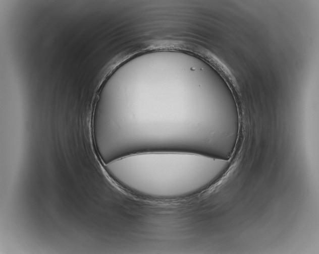 X0000116831041200912181050