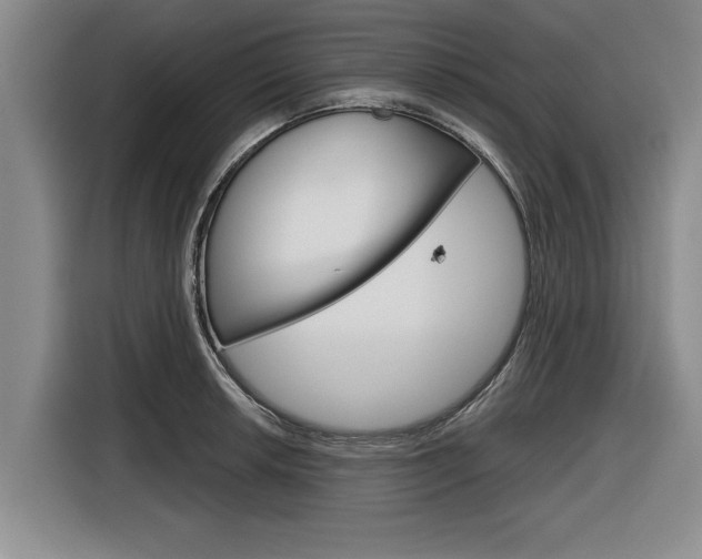 X0000116831042200912181050