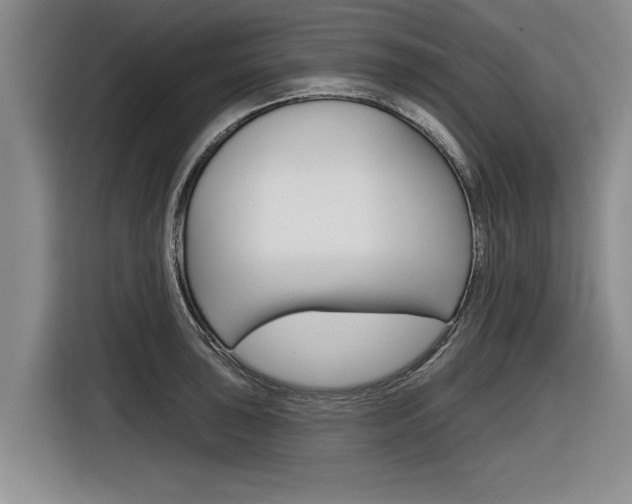 X0000116831043200912181050