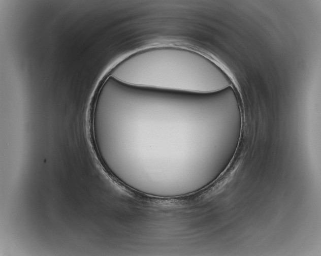 X0000116831045200912181050