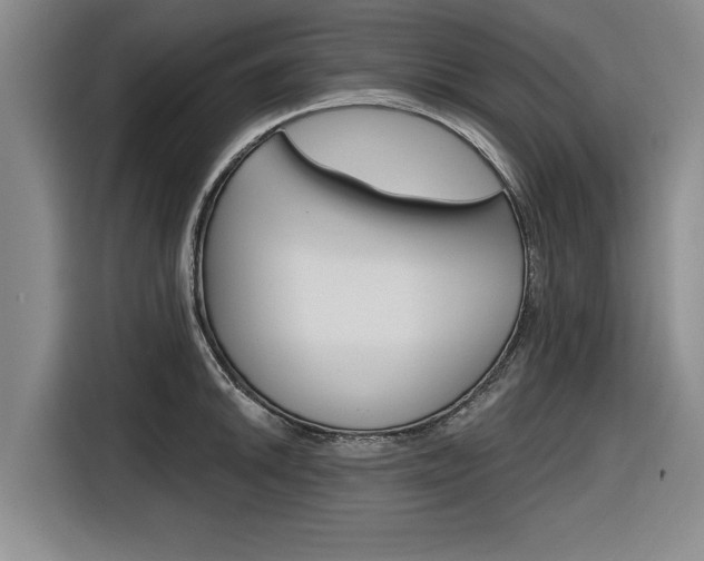 X0000116831046200912181050