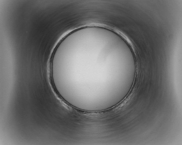 X0000116831048200912181050