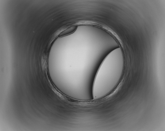 X0000116831049200912181050
