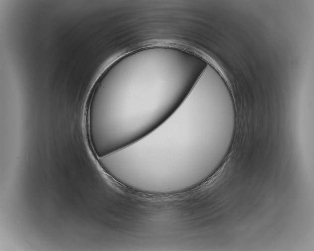 X0000116831050200912181050