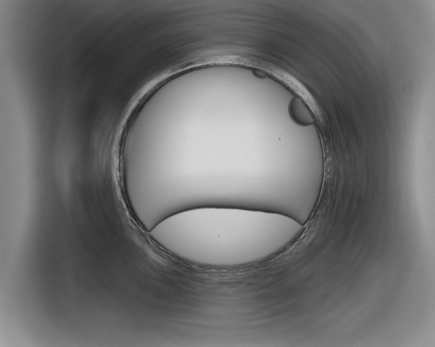 X0000116831051200912181050
