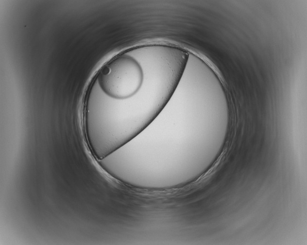 X0000116831054200912181050