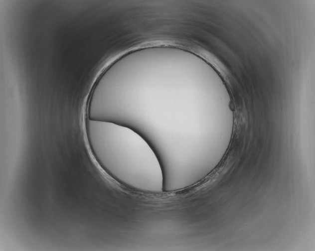 X0000116831055200912181050