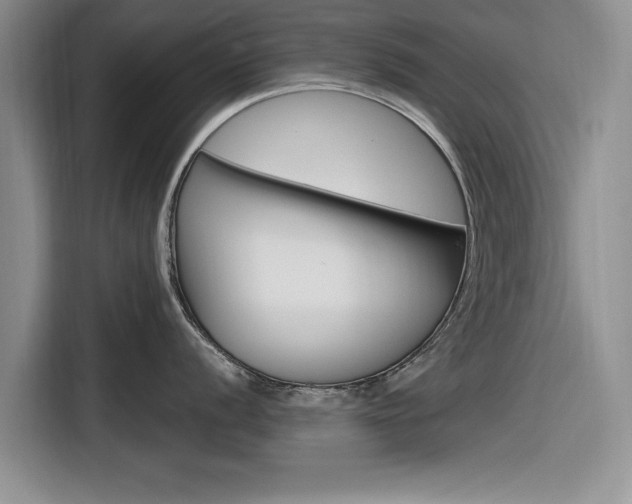 X0000116831056200912181050