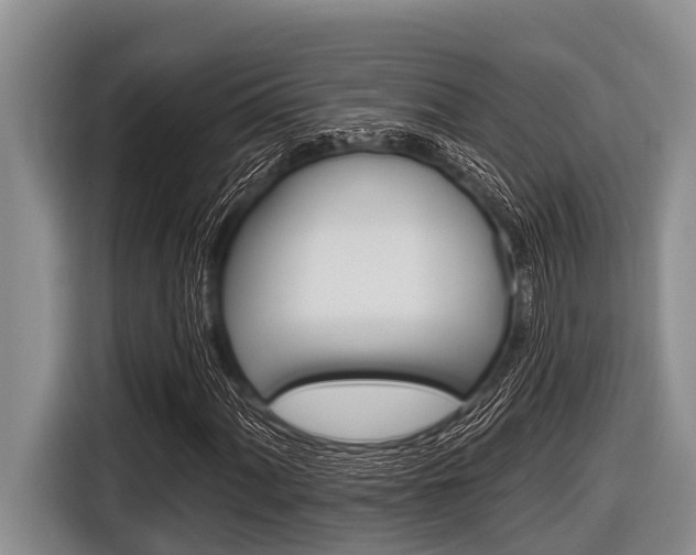 X0000116831060200912181050