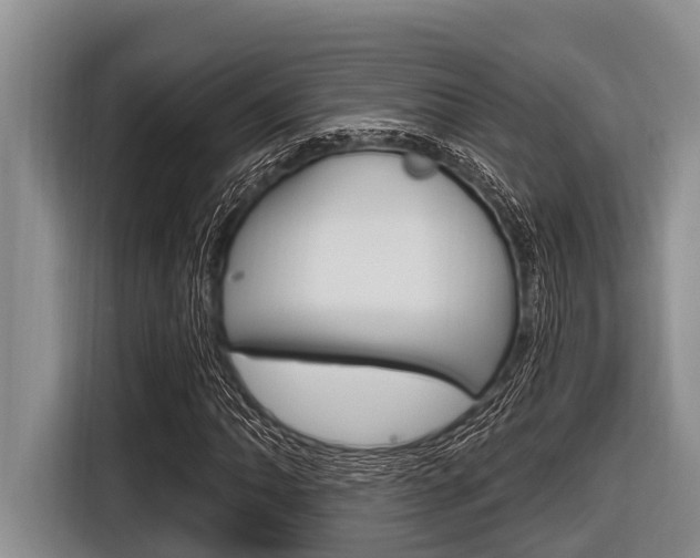 X0000116831062200912181050
