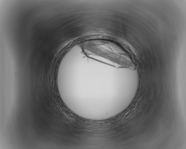 X0000116831064200912181050