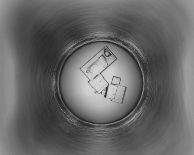 X0000116831065200912181050