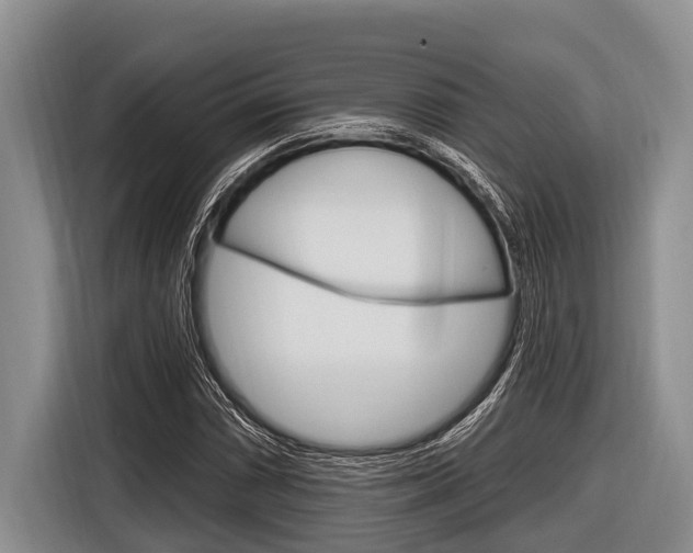 X0000116831066200912181050