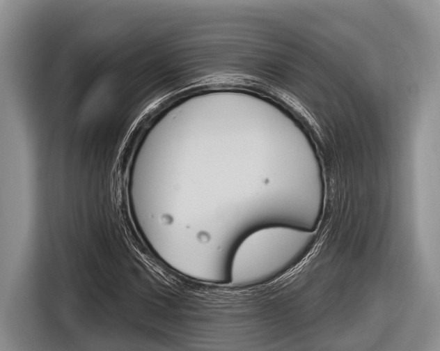 X0000116831067200912181050