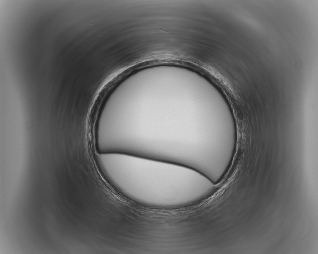 X0000116831070200912181050