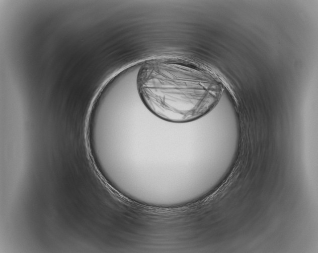 X0000116831072200912181049