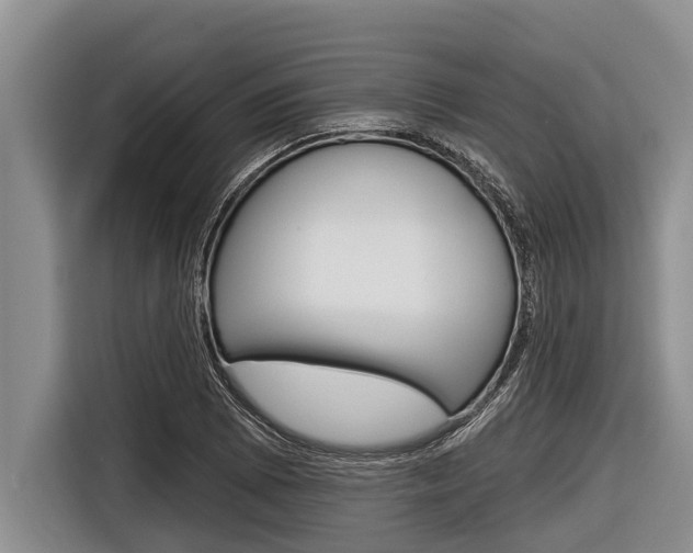 X0000116831073200912181049