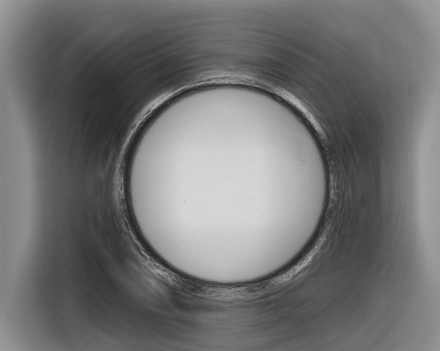 X0000116831074200912181049