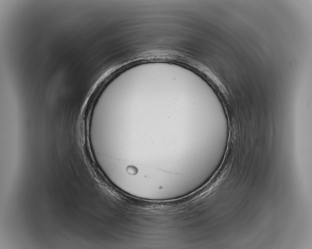 X0000116831075200912181049
