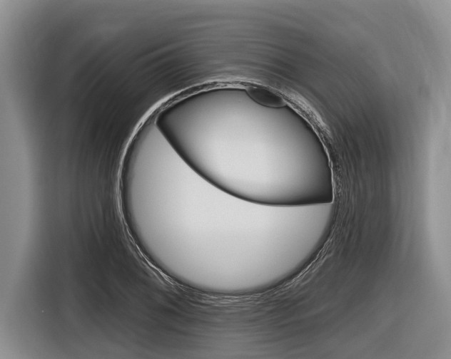 X0000116831076200912181049