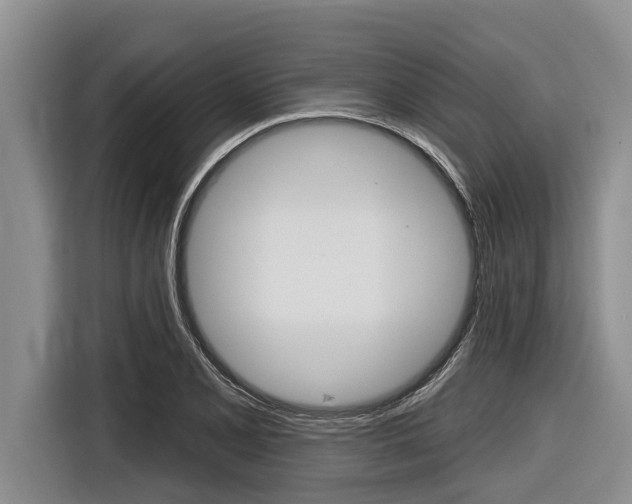 X0000116831077200912181049