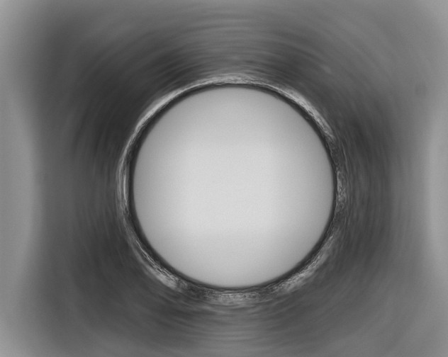 X0000116831078200912181049