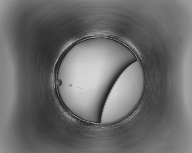 X0000116831079200912181049
